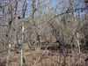 DSC01754.jpg