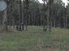 Filename=HH25.jpg
Filesize=192KB
Dimensions=640x480
Date added=Feb 21, 2010 HH25.jpg